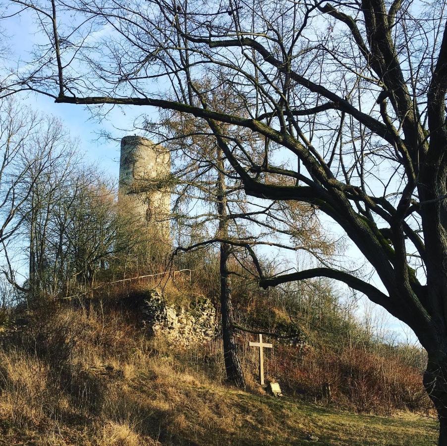 Ferienwohnungen Lausbuben & Zicken - Im Grunen Herzen Deutschlands Herleshausen Zewnętrze zdjęcie